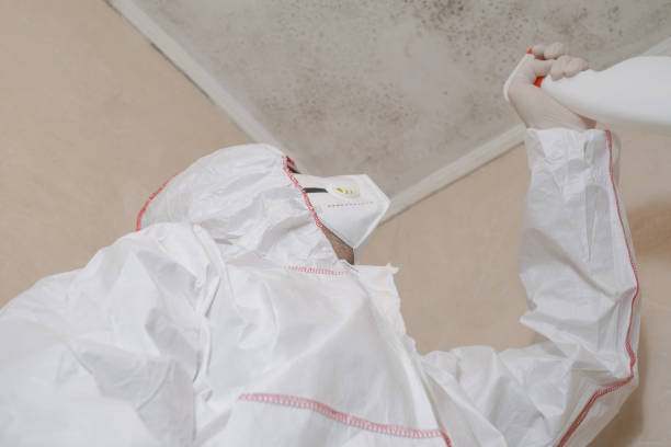 Crawl Space Mold Removal in Fountain Hills, AZ